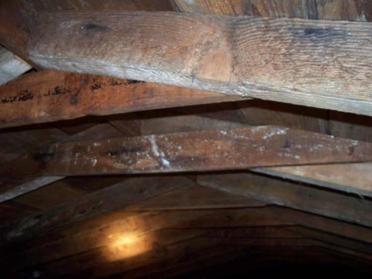 local roofing local roofer